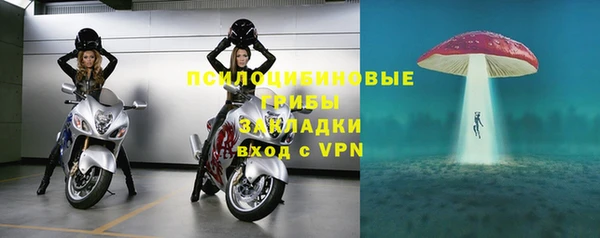 спиды Вяземский