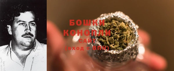 мдпв Вязьма